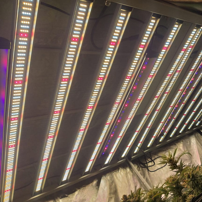 RedFarm 1500W باغبانی LED Grow Light Samsung LM301H Osram 660nm 730nm