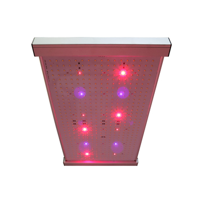 نور رشد Quantum 2x2 LED